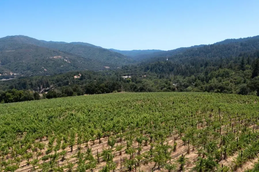 18570 Black Road, Los Gatos, CA 95033 - #3
