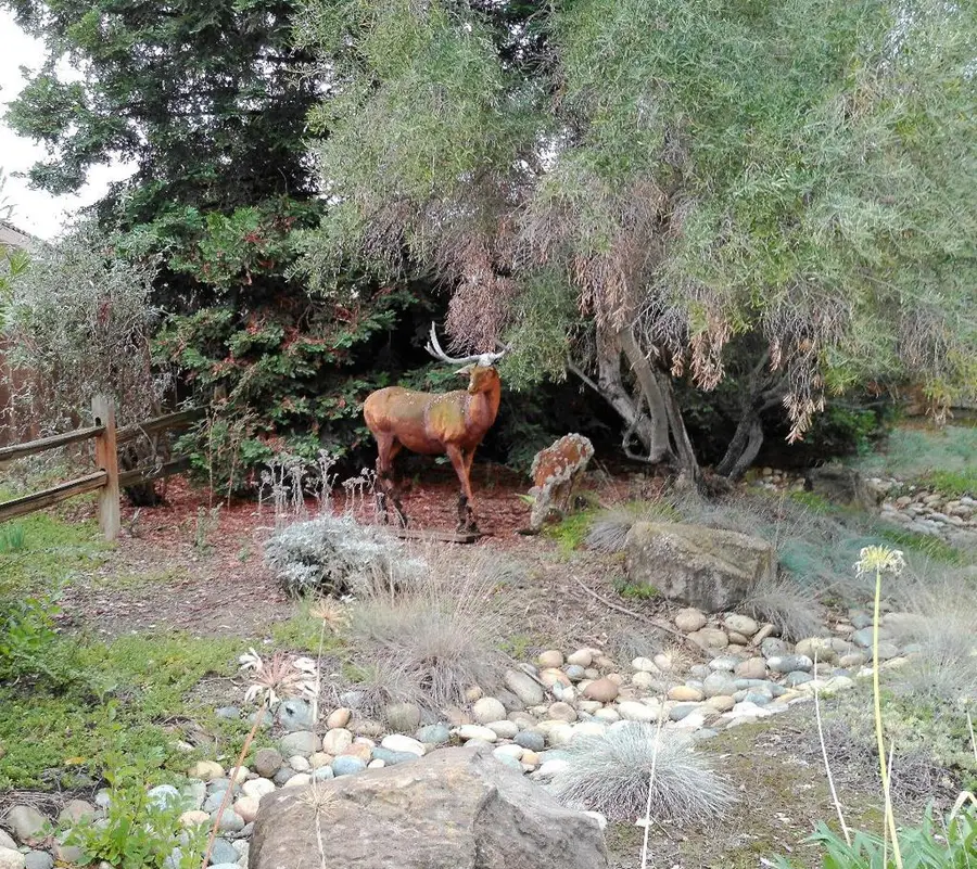 1388 Sonnys Way, Hollister, CA 95023 - #2