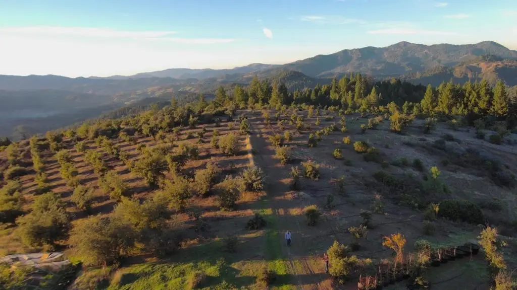 47211 Fox Rock Road, Laytonville, CA 95454 - Image #1