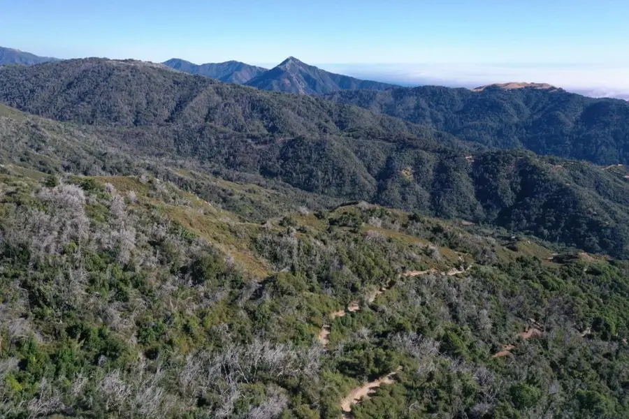 1 Twin Peaks, Carmel, CA 93923 - Image #2