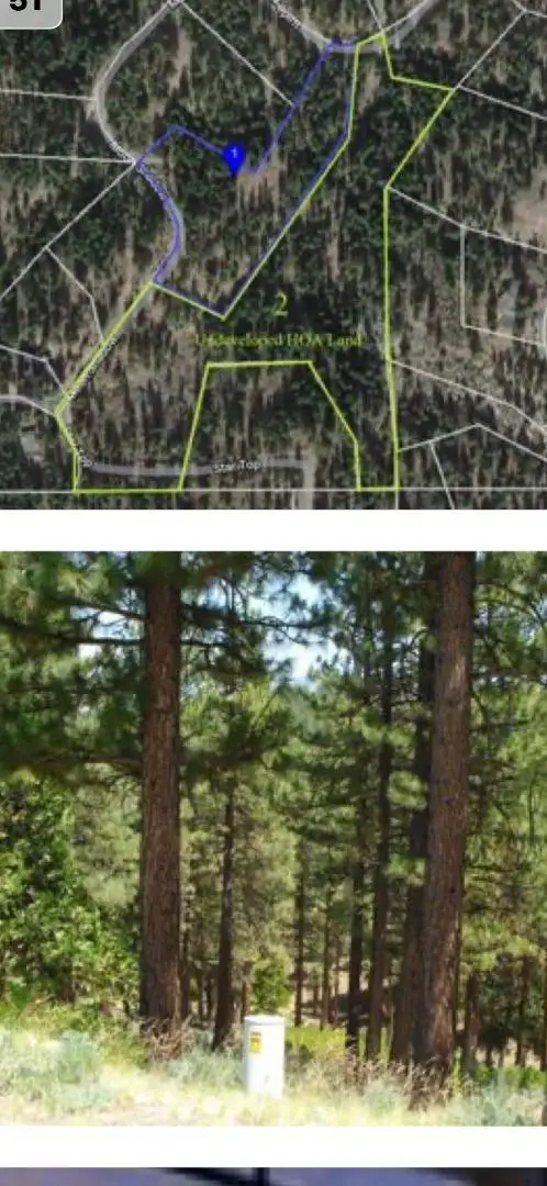 976 Moon Shadow, Portola, CA 96122