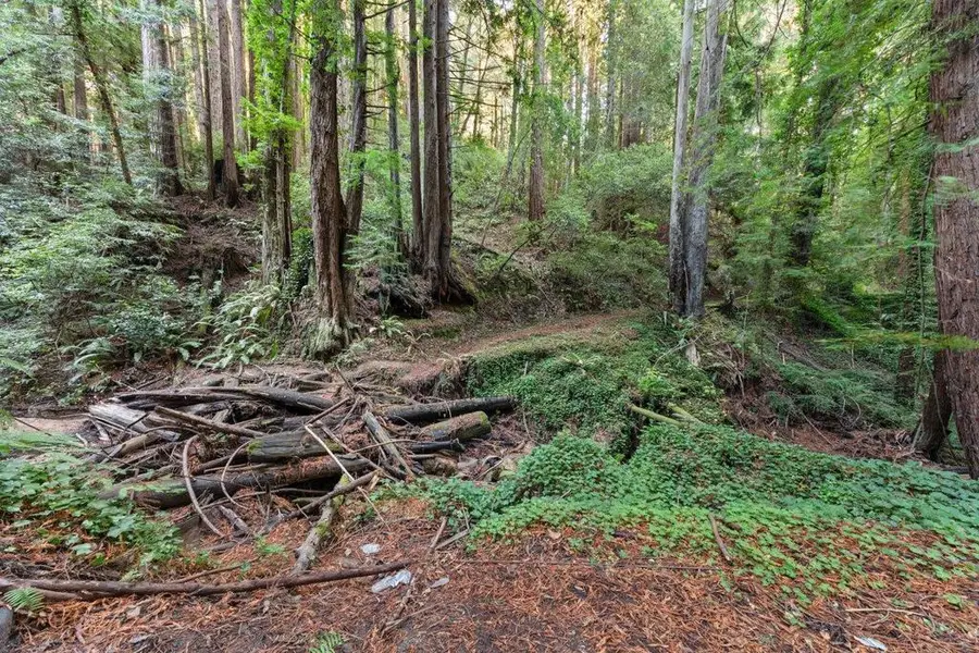 3946 Tunitas Creek Road, Half Moon Bay, CA 94019 - #2