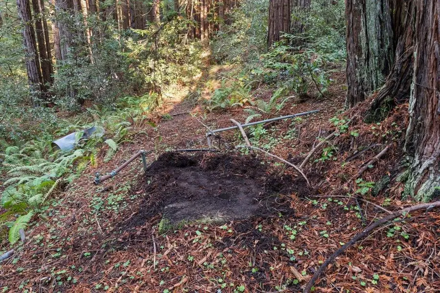 3946 Tunitas Creek Road, Half Moon Bay, CA 94019 - #3