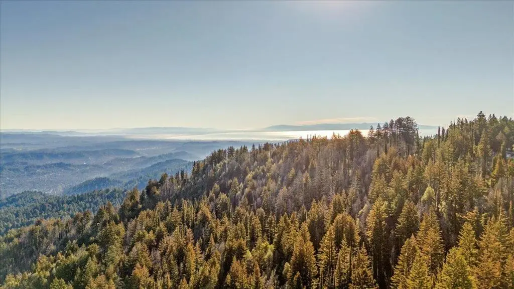 11035 Empire Grade, Santa Cruz, CA 95060 - #1