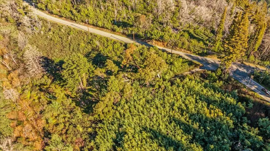 11035 Empire Grade, Santa Cruz, CA 95060 - #3