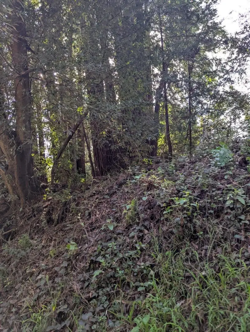 8055 Glen Haven Road, Soquel, CA 95073 - #3