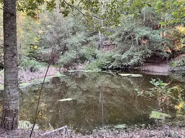 0 Love Creek, Ben Lomond, CA 95005