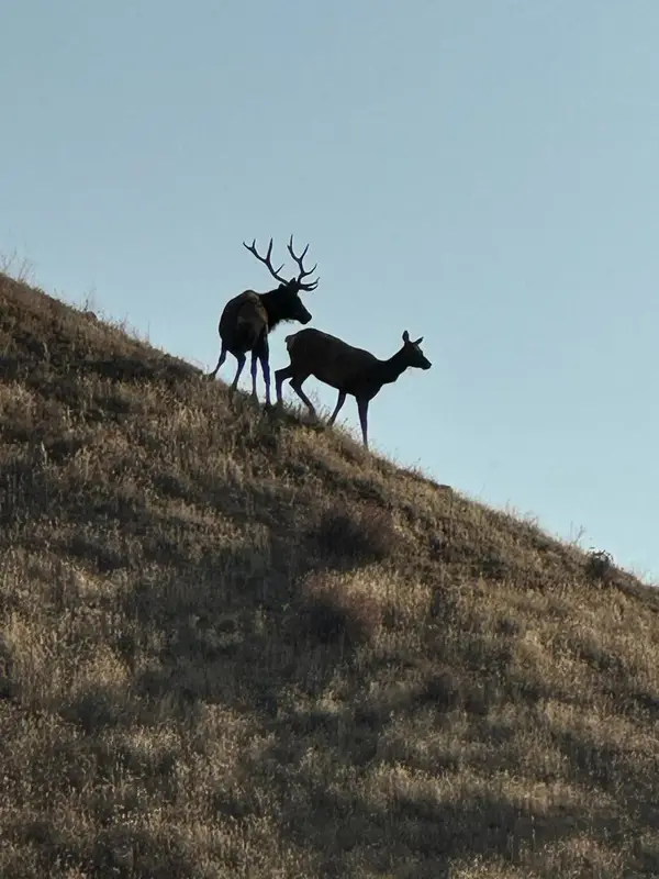 19825 New Idria Road, Paicines, CA 95043