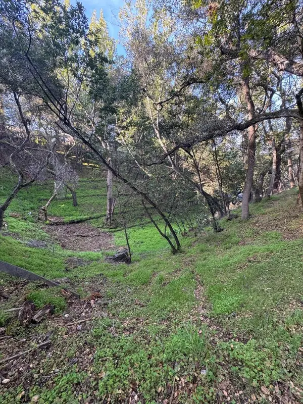 0 Parrott Drive, San Mateo, CA 94402