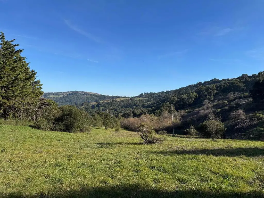 220 Heacox Road, Woodside, CA 94062 - #1