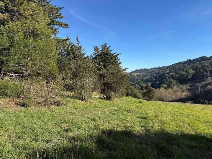 220 Heacox Road, Woodside, CA 94062 - #3