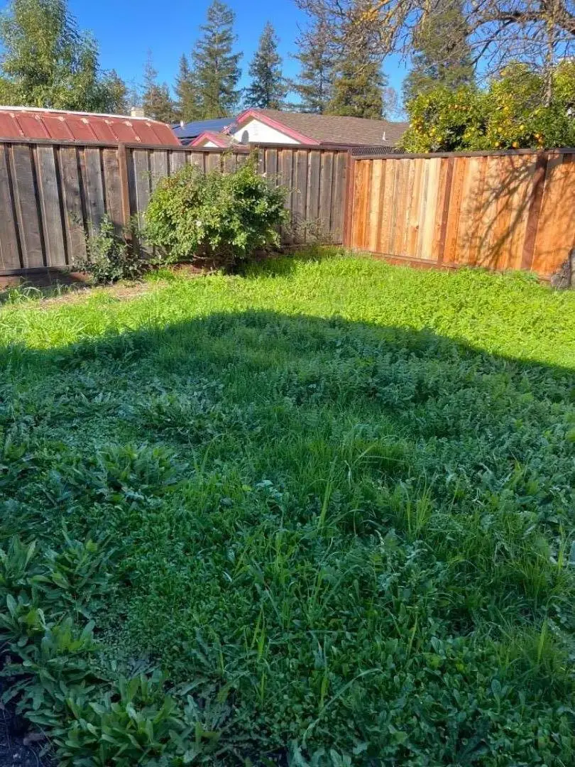 301 Colville Drive, San Jose, CA 95123 - #2