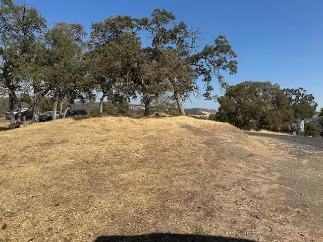 4227 Council Trail, Copperopolis, CA 95228 - #2