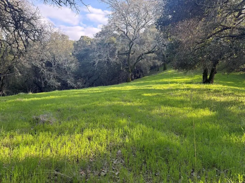 0 Chesbro Lake Drive, Morgan Hill, CA 95037 - #1