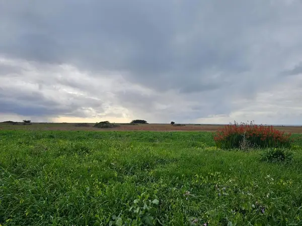 0 Pacific Avenue, Half Moon Bay, CA 94019