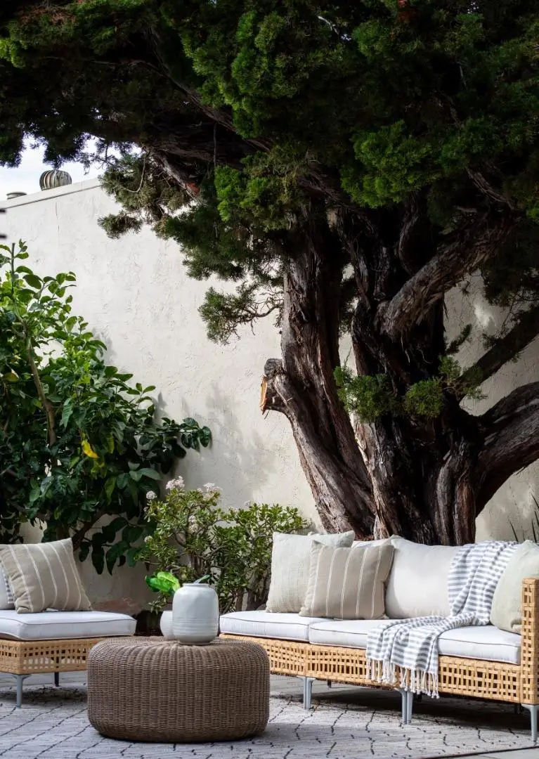 1006 E Evelyn Avenue, Sunnyvale, CA 94086 - #3