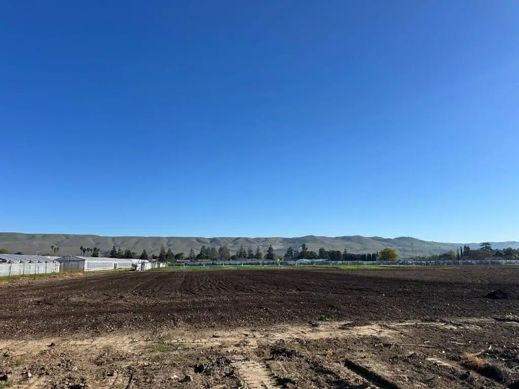 155 San Bruno Avenue, Morgan Hill, CA 95037 - #1