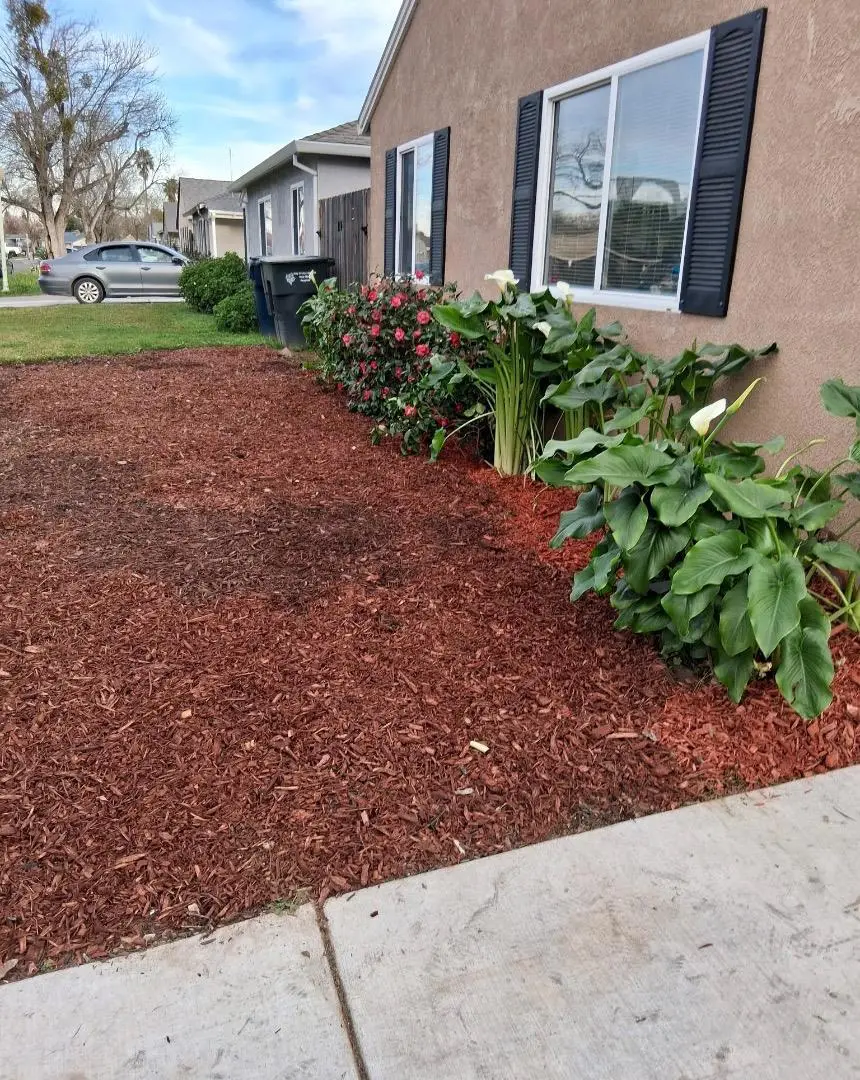 7330 25th Avenue, Sacramento, CA 95820 - #3