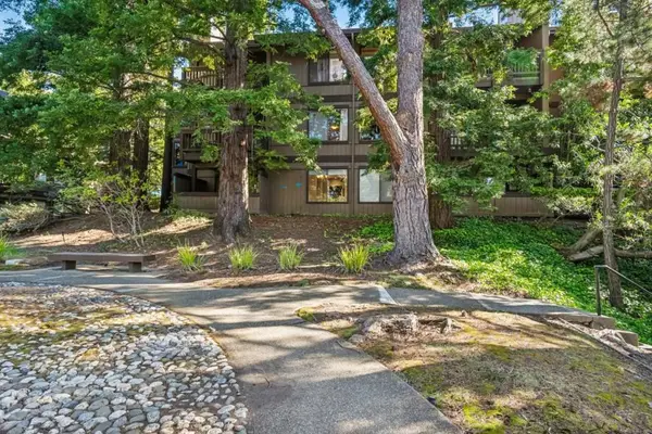 3314 Brittan Avenue #1, San Carlos, CA 94070