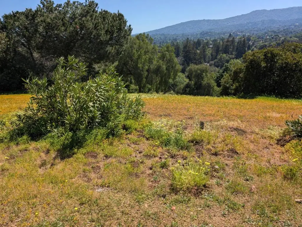 0 Ruth Lee Court, Los Altos, CA 94024 - #1