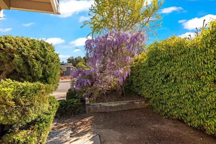 741 Saranac Drive, Sunnyvale, CA 94087 - #3