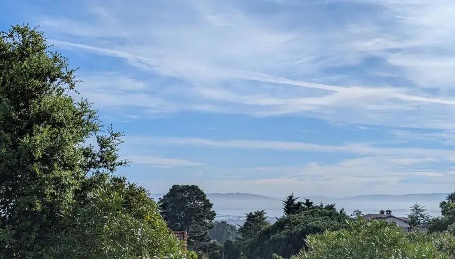 20 Silk Tree Place, Hillsborough, CA 94010 - #2