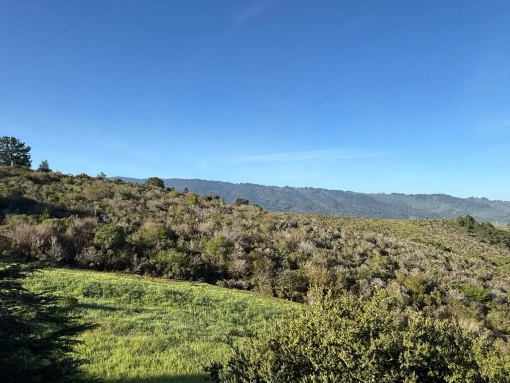 228 Crestview Drive, San Carlos, CA 94070 - #1