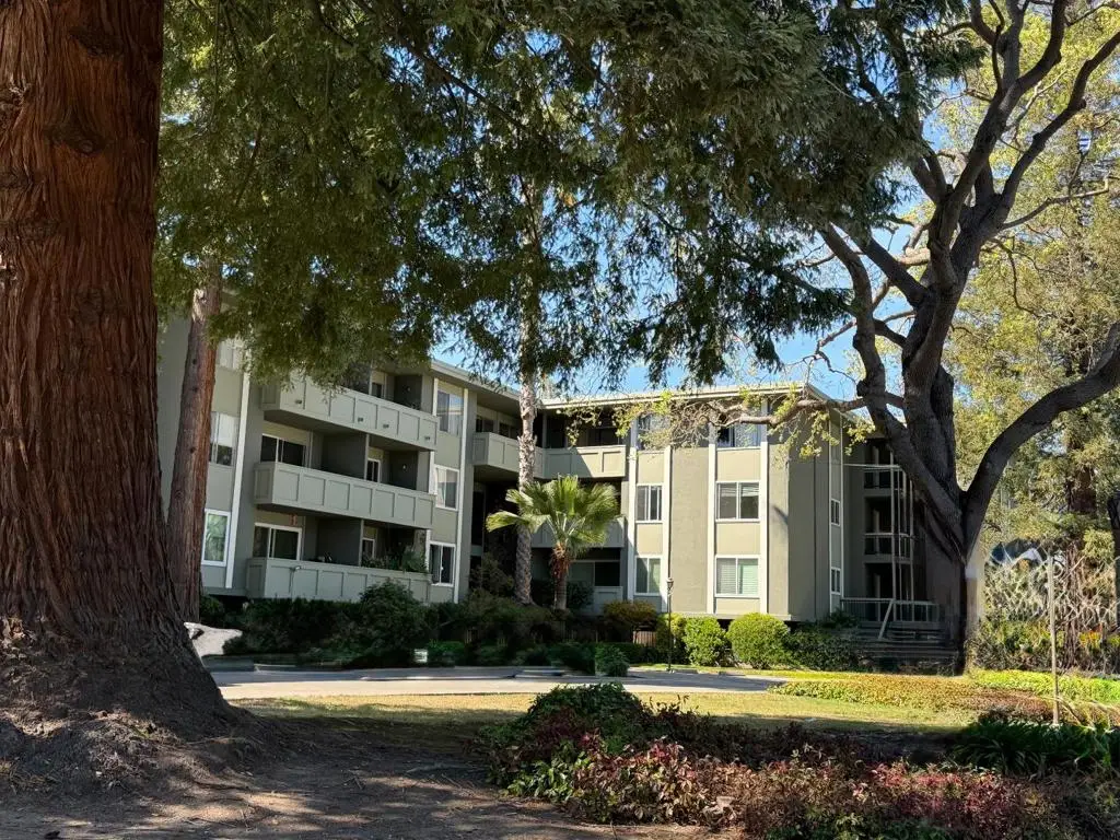 1458 Hudson Street #217, Redwood City, CA 94061 - #1