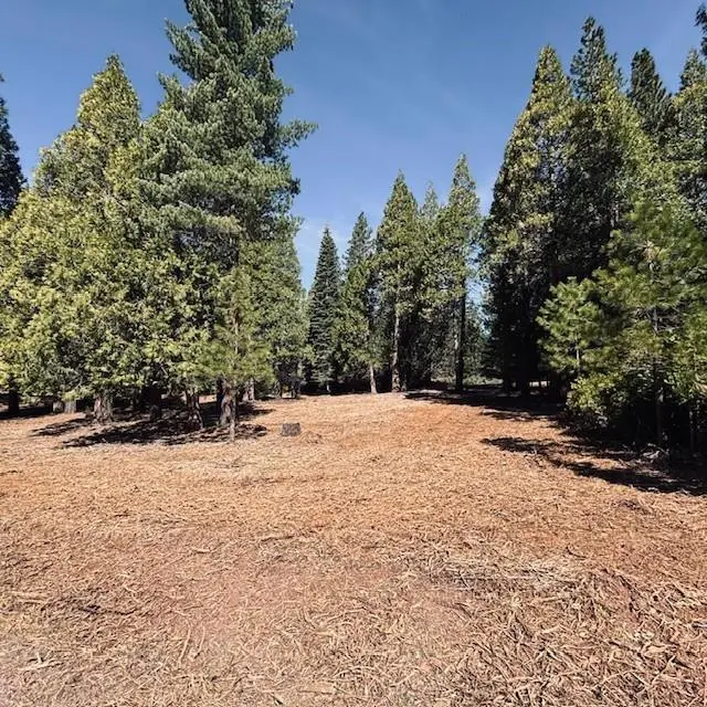 790 Red River Drive, Lake Almanor, CA 96137 - #1