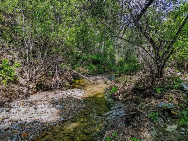 43575 Carmel Valley Road, Greenfield, CA 93927