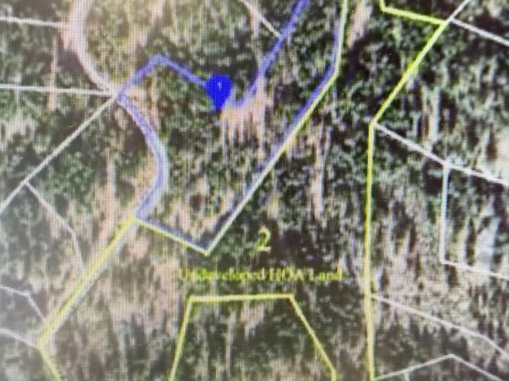 976 Moon Shadow, Portola, CA 96122 - #1