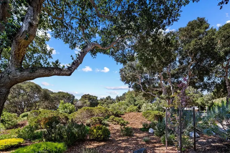 25485 Via Paloma, Carmel, CA 93923 - #2