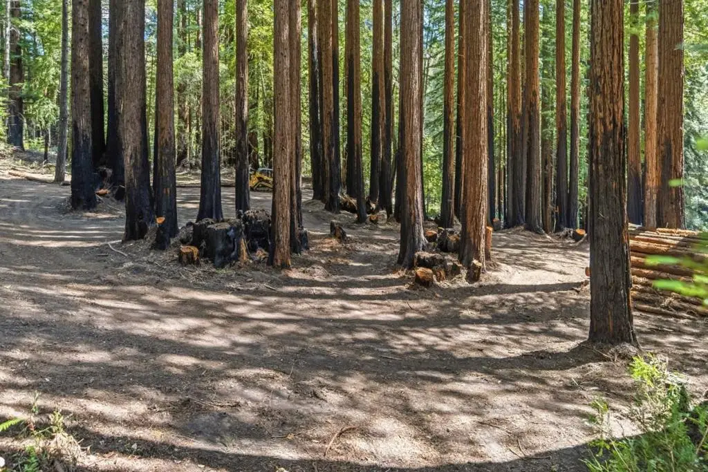 0 Band Road, Boulder Creek, CA 95006 - #1