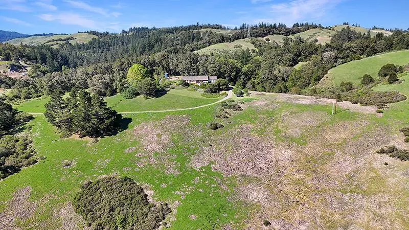 131 Rapley Ranch Road, La Honda, CA 94020 - #3