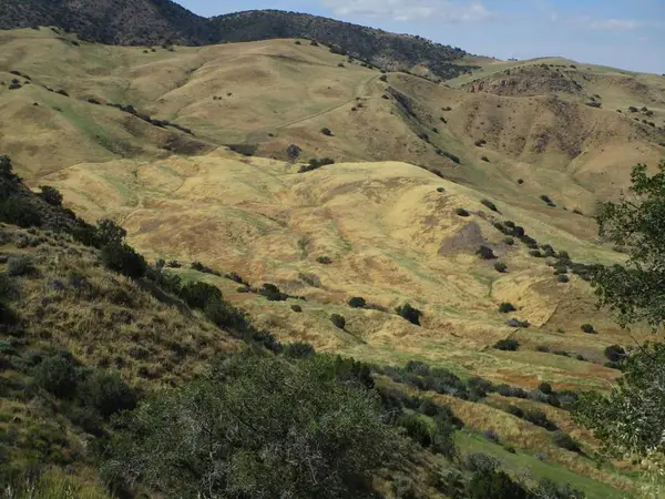 0 New Idria Road, Paicines, CA 95043