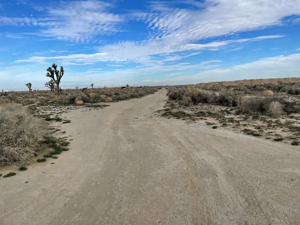 M8 Drt /95 #drt Avenue, Palmdale, CA 93591 - #1