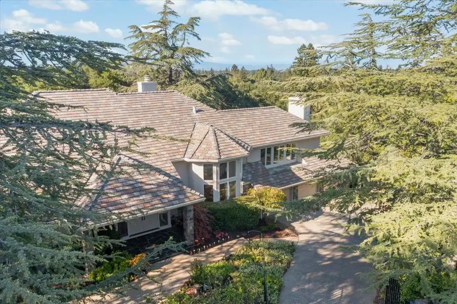 14220 Wild Plum Lane, Los Altos Hills, CA 94022 - #3