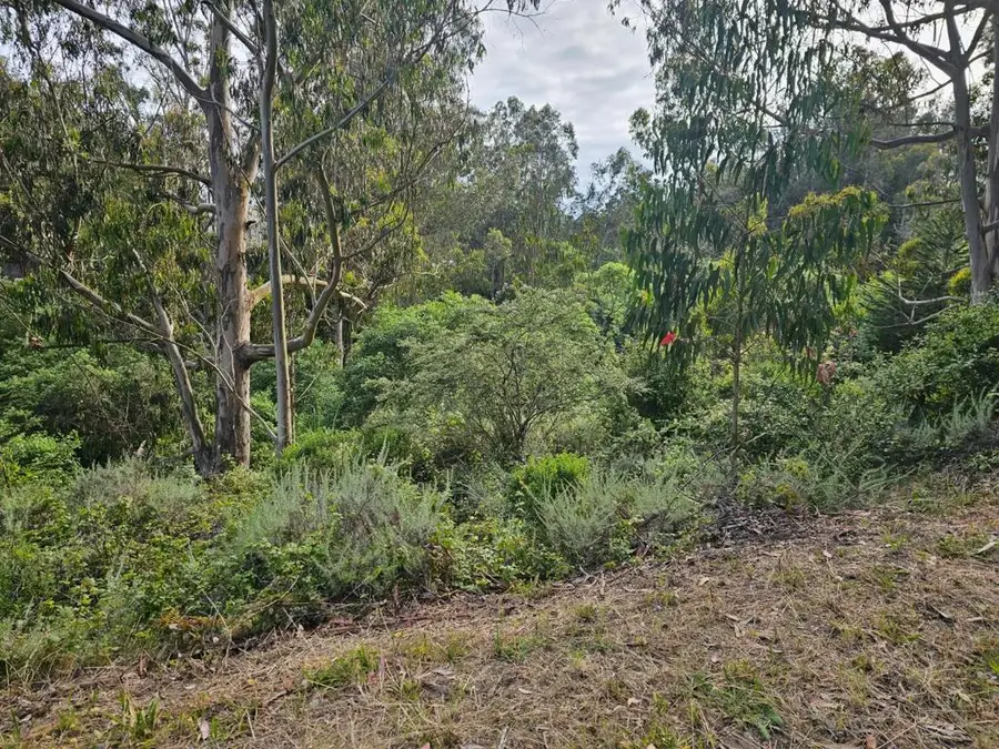 Address Withheld By Seller, Half Moon Bay, CA 94019 - #3