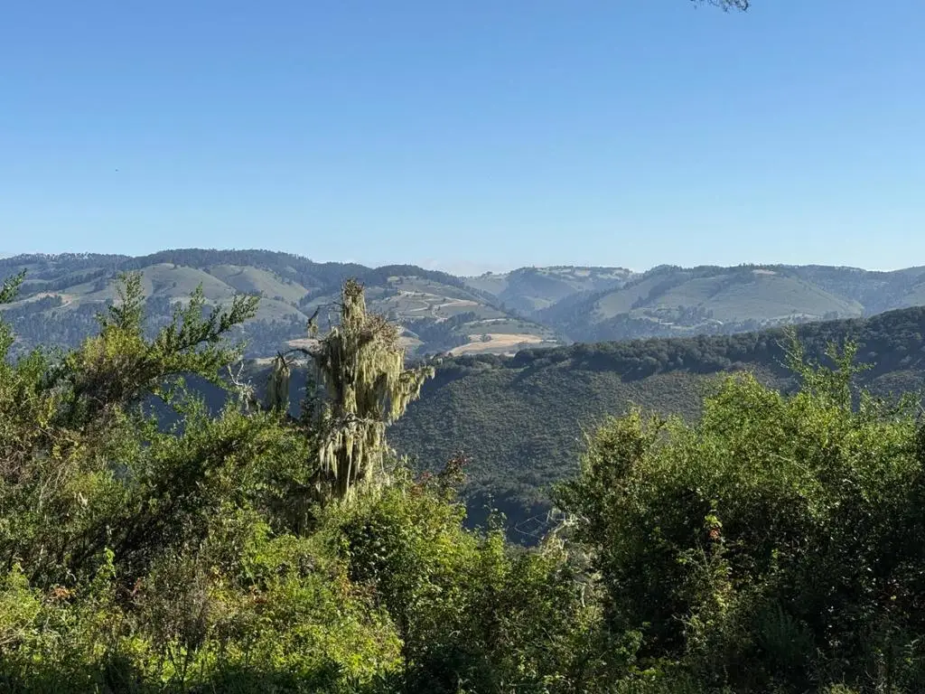 6 Rancho San Carlos (lot E10) Road, Carmel, CA 93923 - #1