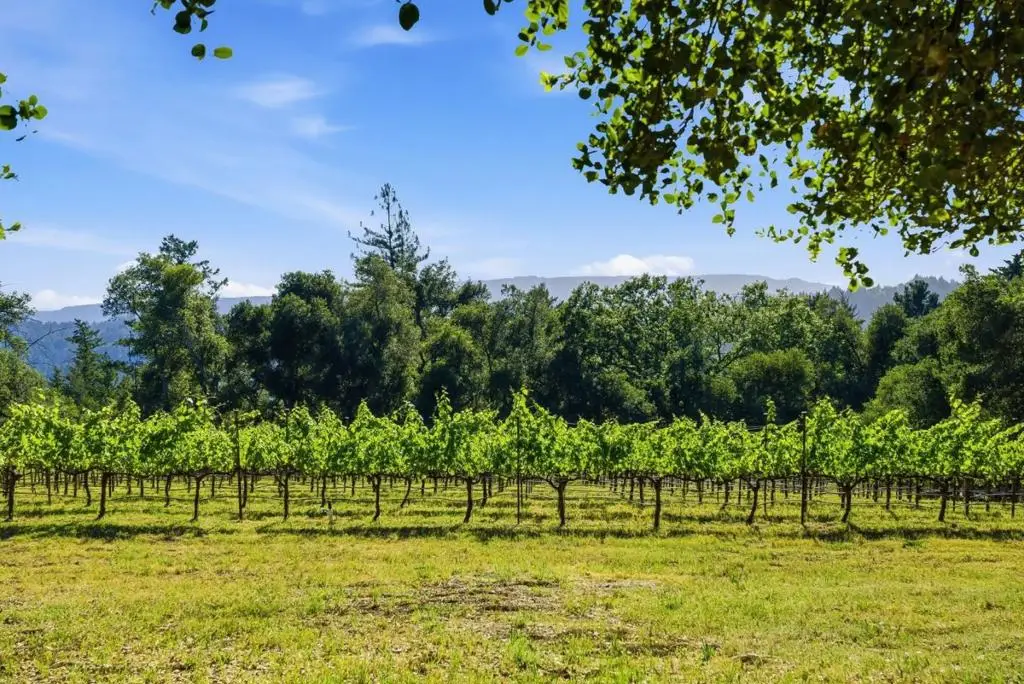 0 Miller Hill Road, Los Gatos, CA 95033 - #1
