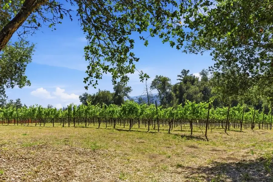0 Miller Hill Road, Los Gatos, CA 95033 - #3
