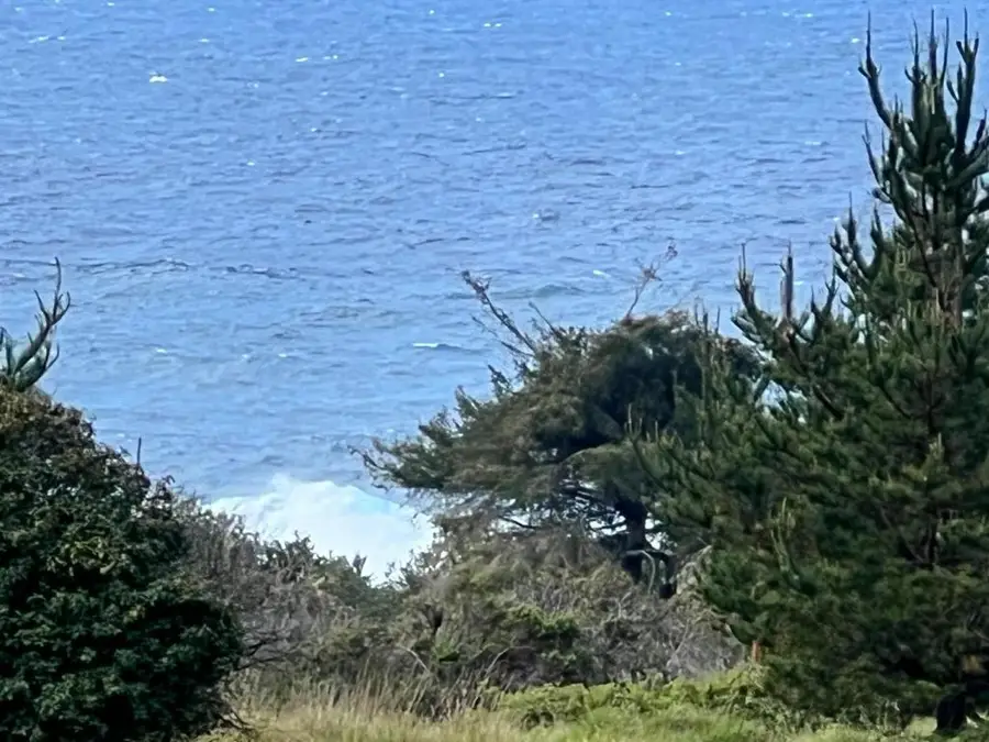 375 Spur Close, The Sea Ranch, CA 95497 - #2