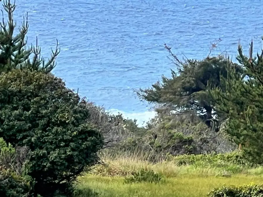 375 Spur Close, The Sea Ranch, CA 95497 - #3