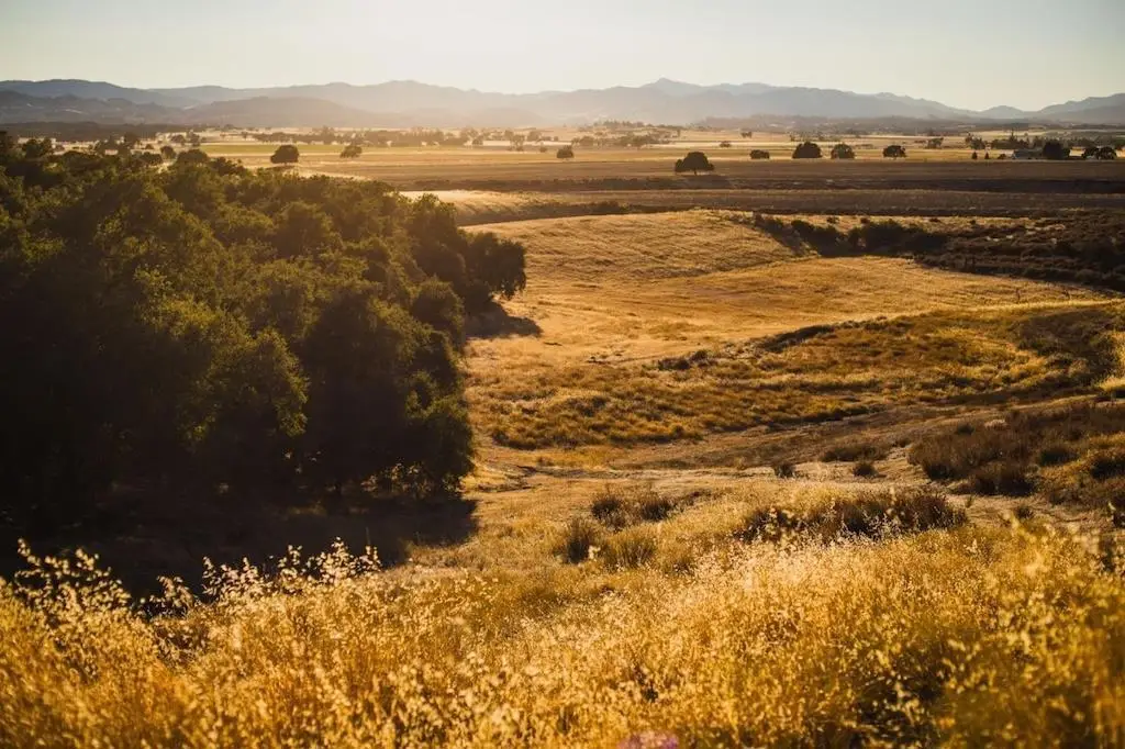 68365 Jolon Road, Bradley, CA 93426 - #1