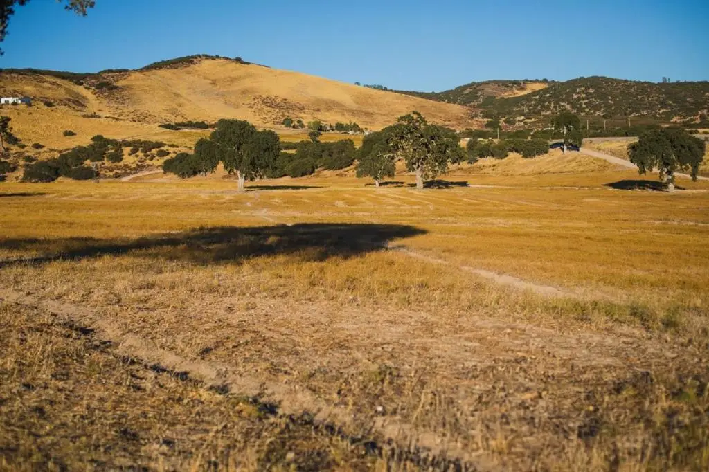 68353 Jolon Road, Bradley, CA 93426 - #1