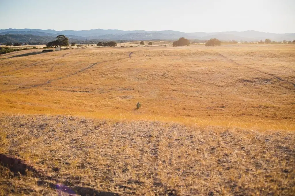 68351 Jolon Road, Bradley, CA 93426 - #1
