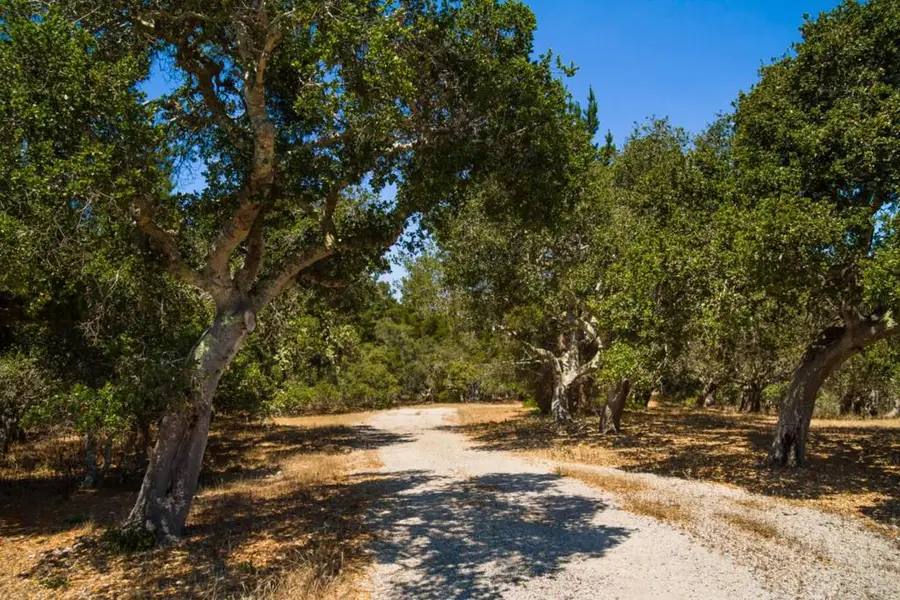 25600 Via Malpaso, Carmel, CA 93923 - #3