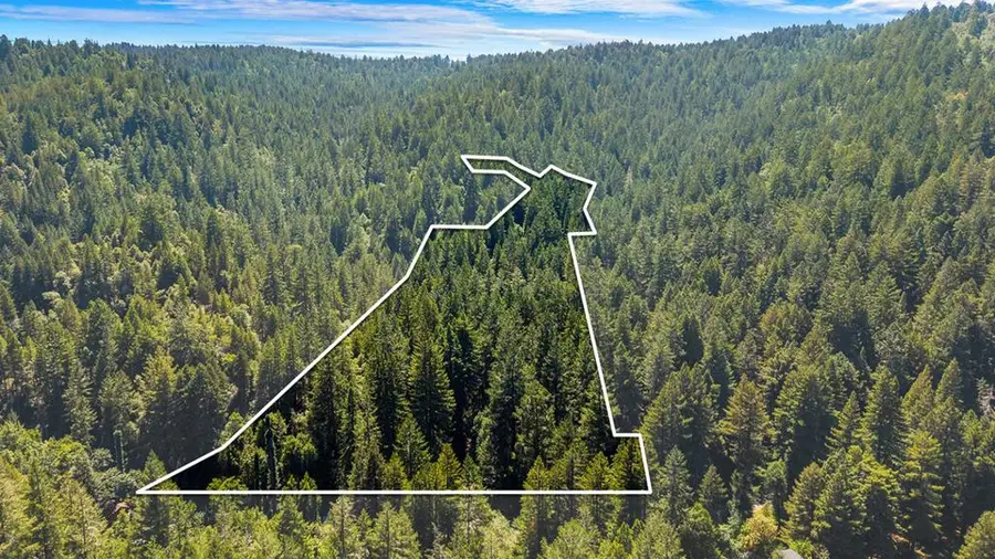 8400 Tyrone Road, Occidental, CA 95465 - #2