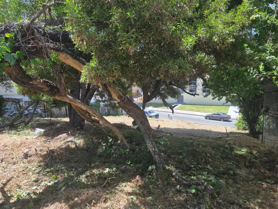 2120 35th Avenue, Oakland, CA 94601 - #2