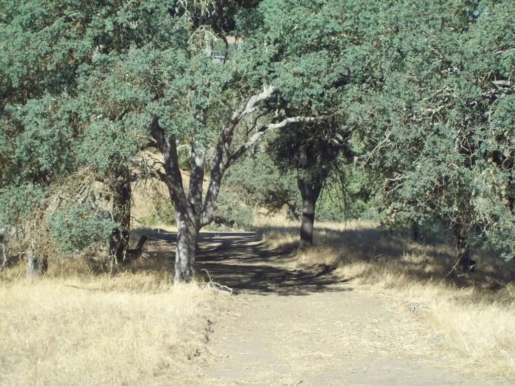 20077 Panoche, Tres Pinos, CA 95075 - #1